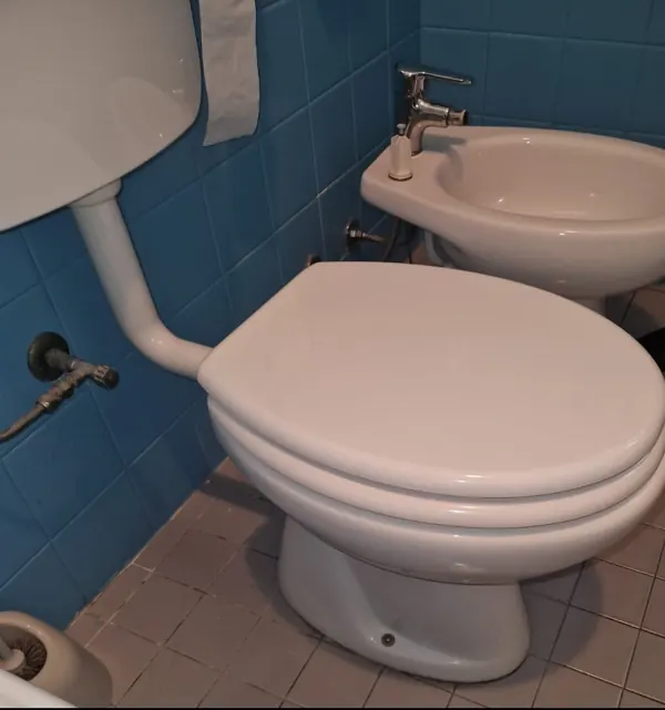 WC con cassetta di scarico e bidet in bagno